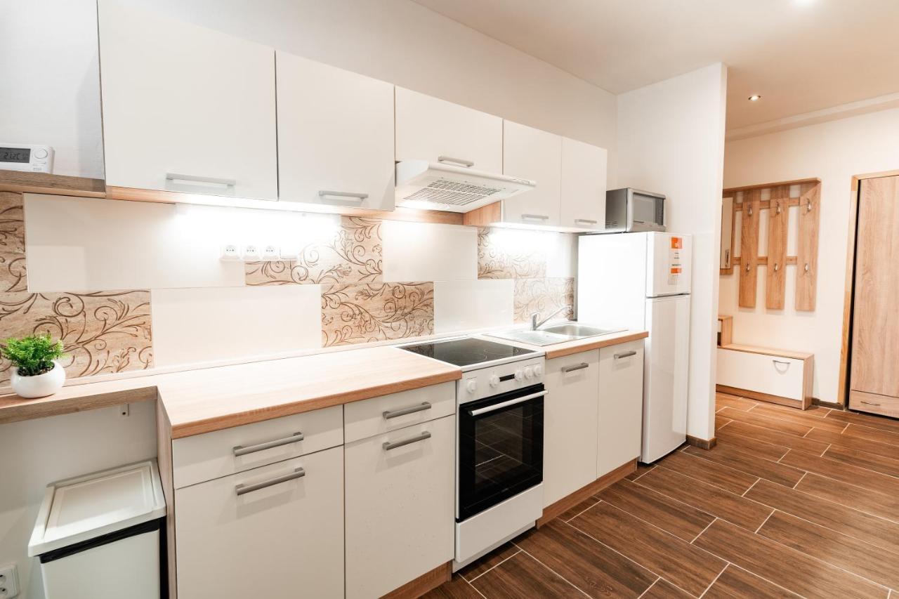 Internesto Brno Luzanky Apartment Luaran gambar